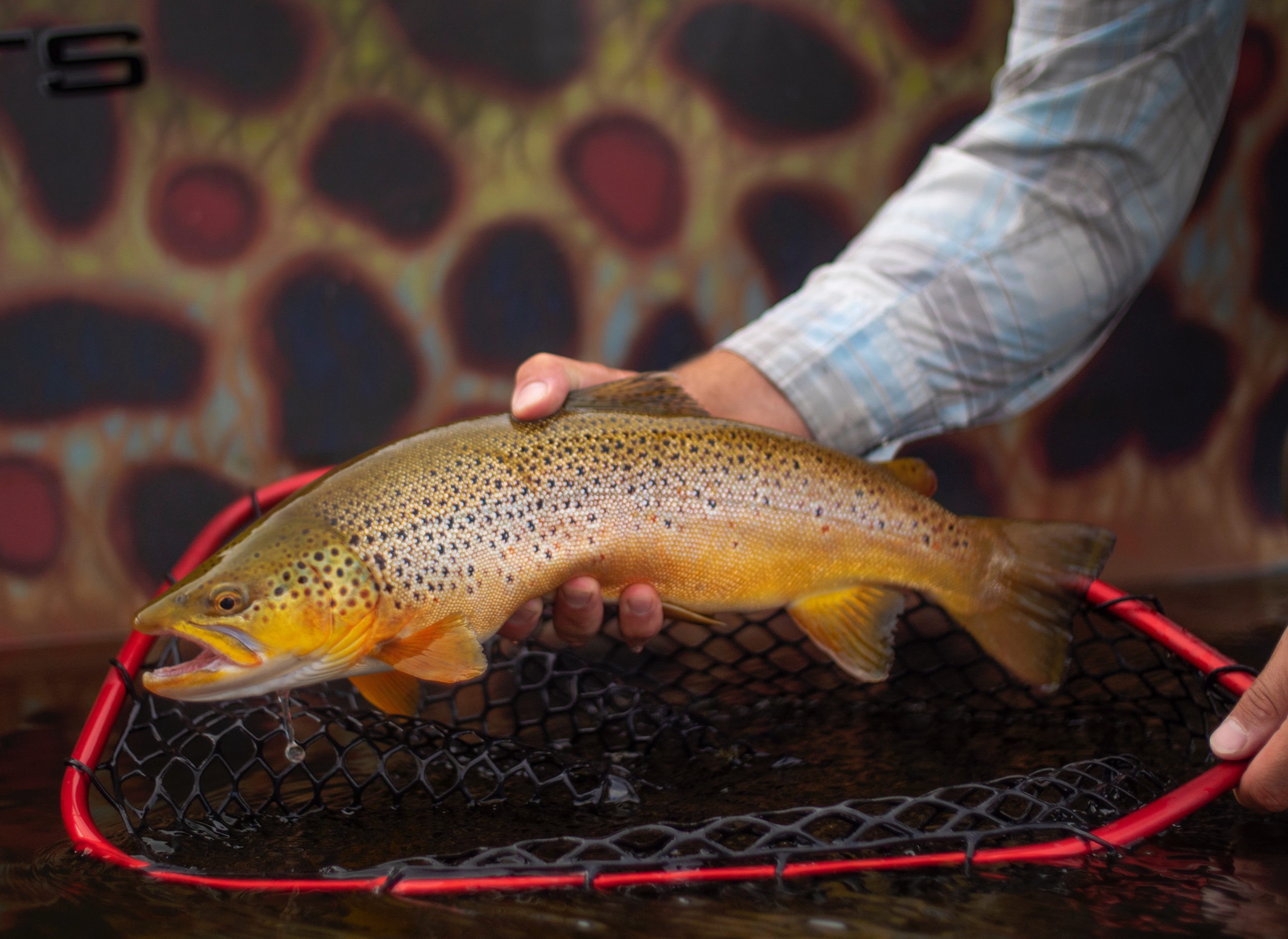 The Wasatch Fly Tying and Fly Fishing Expo See the Best in Fly