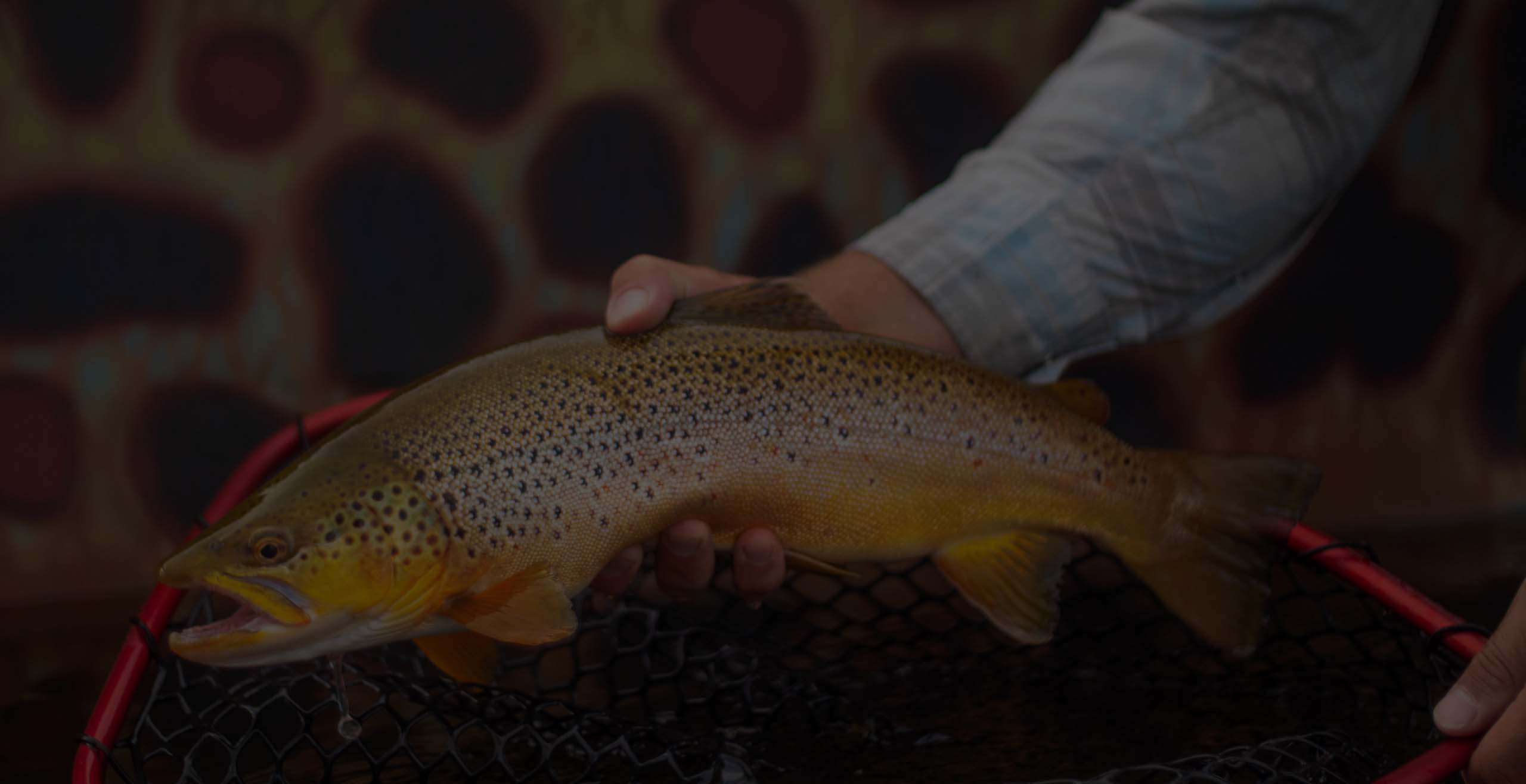 Wasatch Fly Tying & Fly Fishing Expo